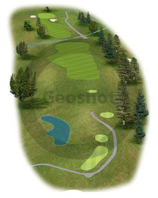 course graphic company